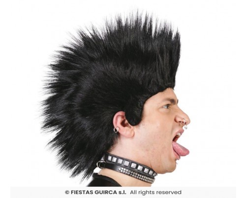 PARRUCCA PUNK